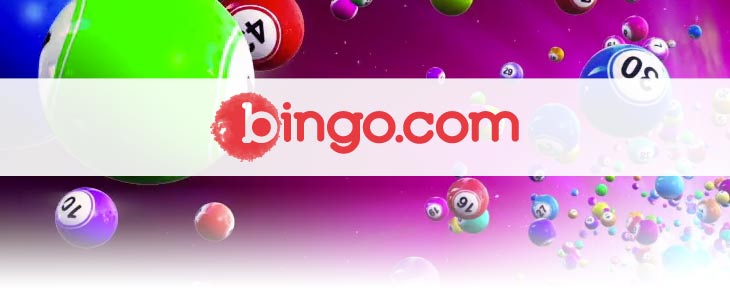bingo.com lotto review