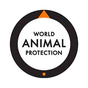 World Animal Protection Lotto